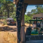 remolques en El Camino de El Rocío para empresas cruzando los pinos de Doñana